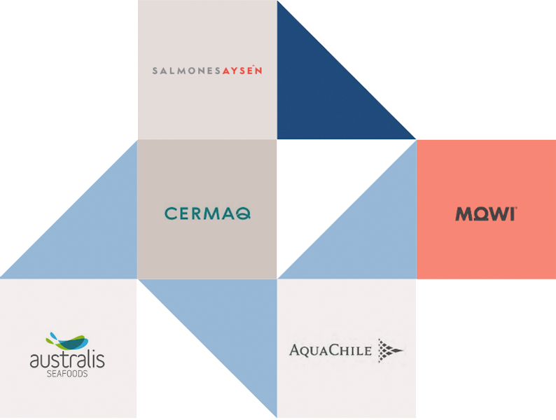 bloque-marcas