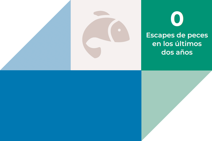 escape-normal